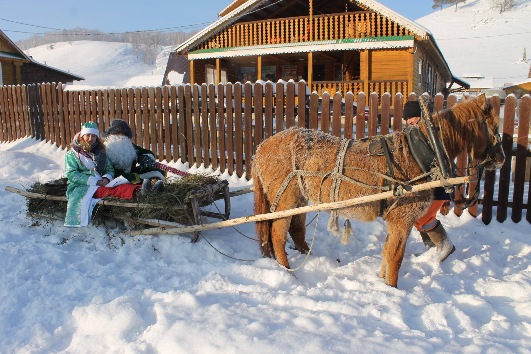 Конно санный тур снежный крака