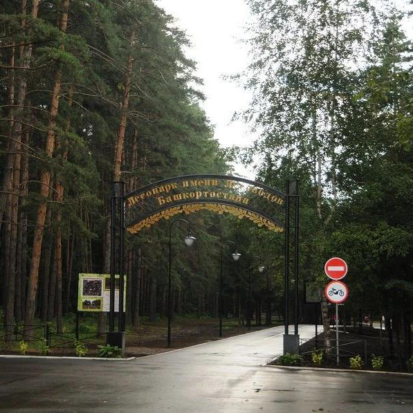 Лесная сказка